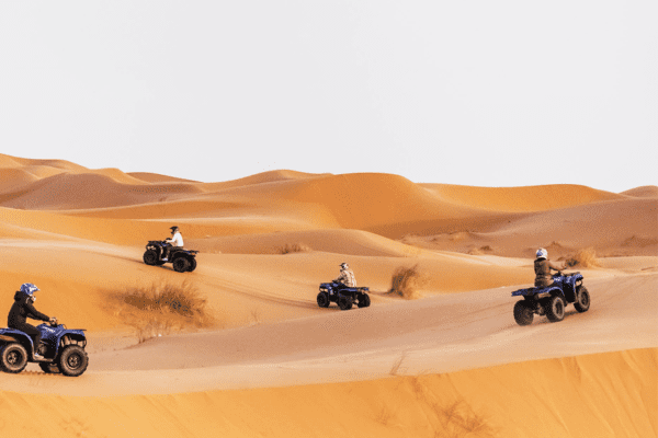 Desert Safari + Quad Bike - Image 2