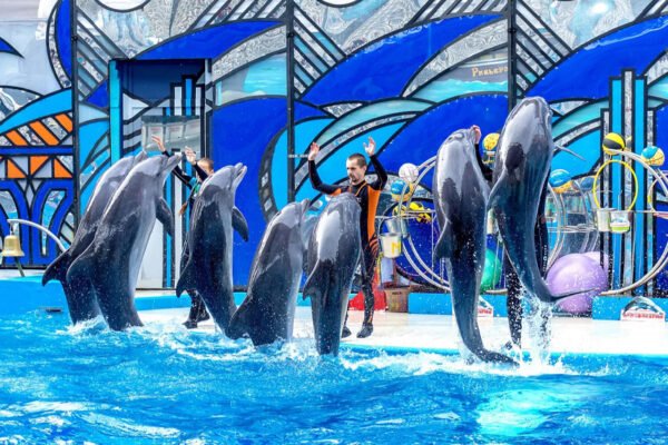 Dubai Dolphinarium