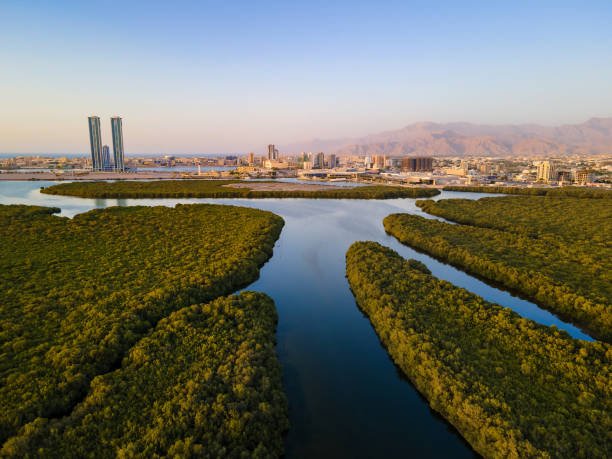 RAK tour package