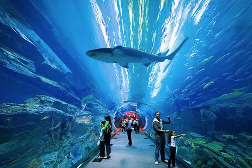 Dubai Aquarium